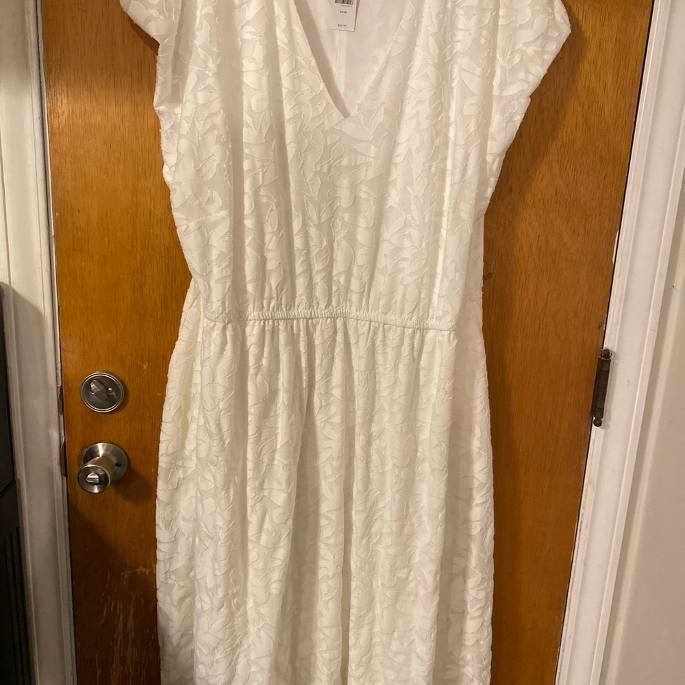 Beautiful white flowered sheer dress with lining, pockets and elastic waist.